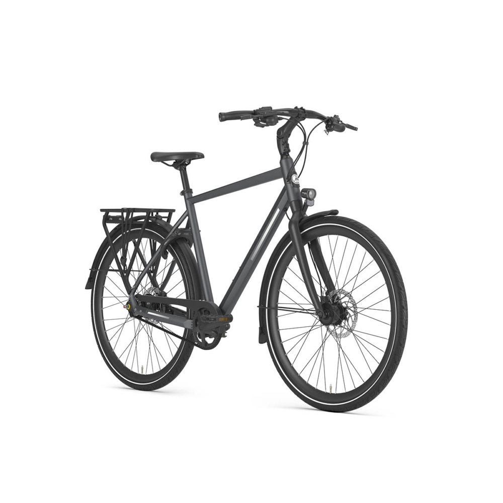 Gazelle Chamonix S11 - Afbeelding 2