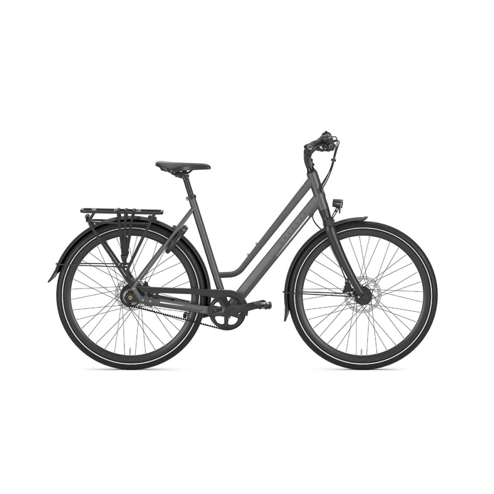 Gazelle Chamonix S11 - Afbeelding 3