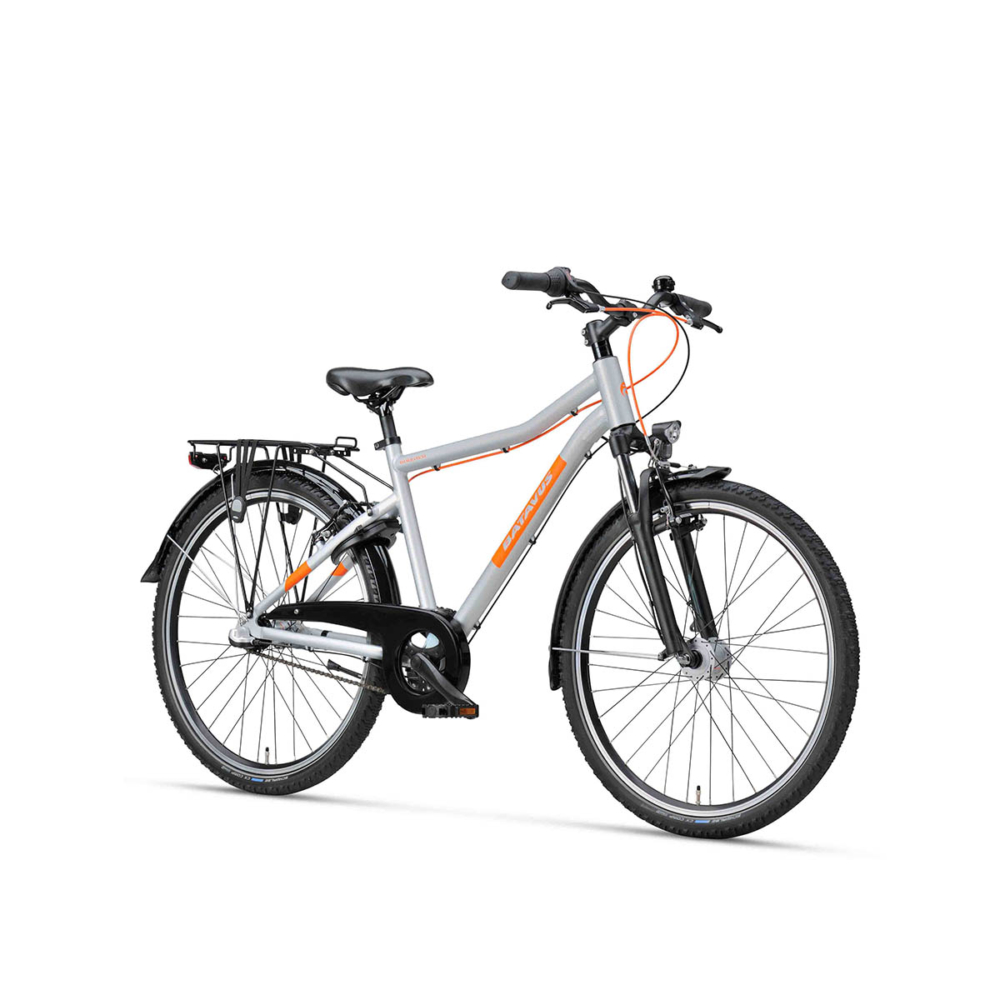 Batavus Booster 26 inch - Afbeelding 2