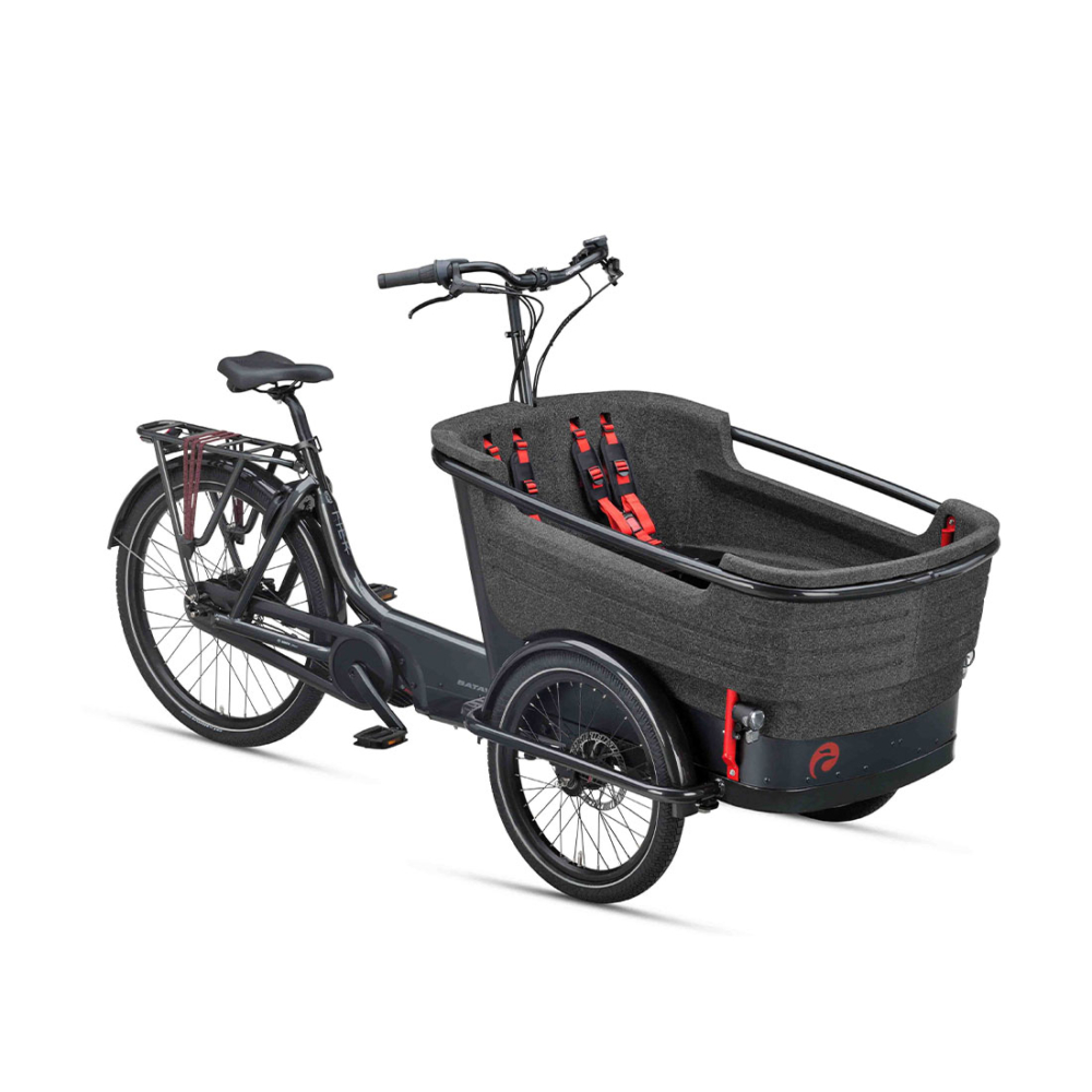 Batavus Fier 3