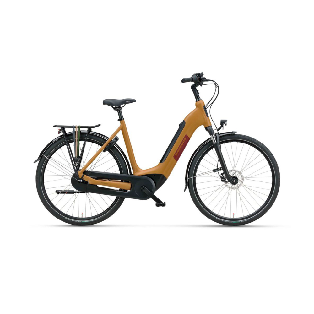 Batavus Altura E-go Power Pro Flex accu - Afbeelding 2