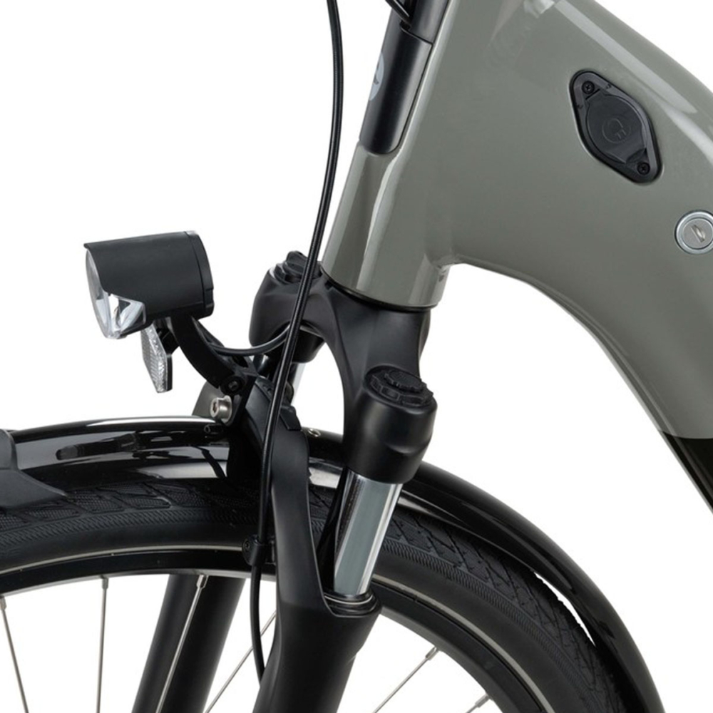 Batavus Altura E-go Power Pro Flex accu - Afbeelding 6