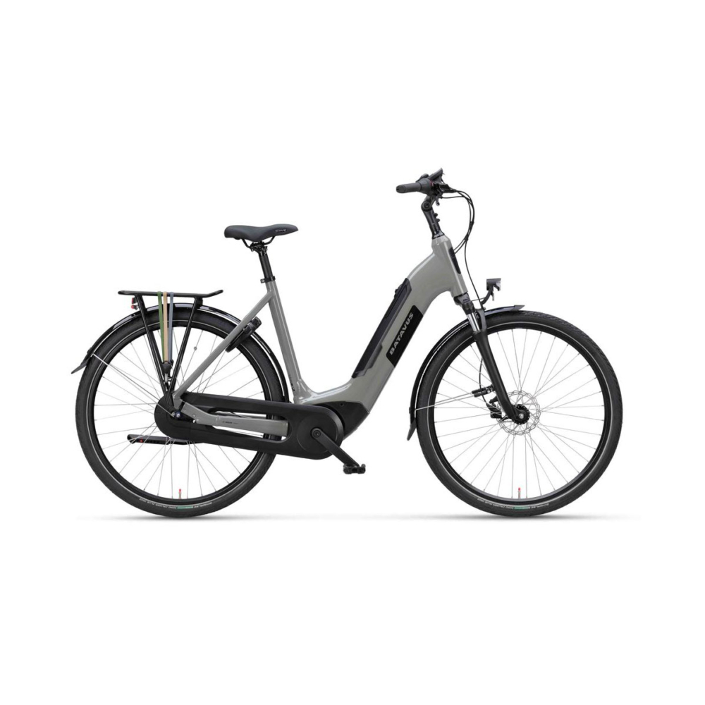 Batavus Altura E-go Power Pro Flex accu - Afbeelding 4