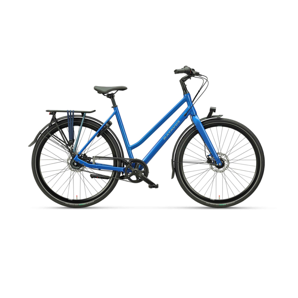 Batavus Dinsdag Exclusive - Afbeelding 2