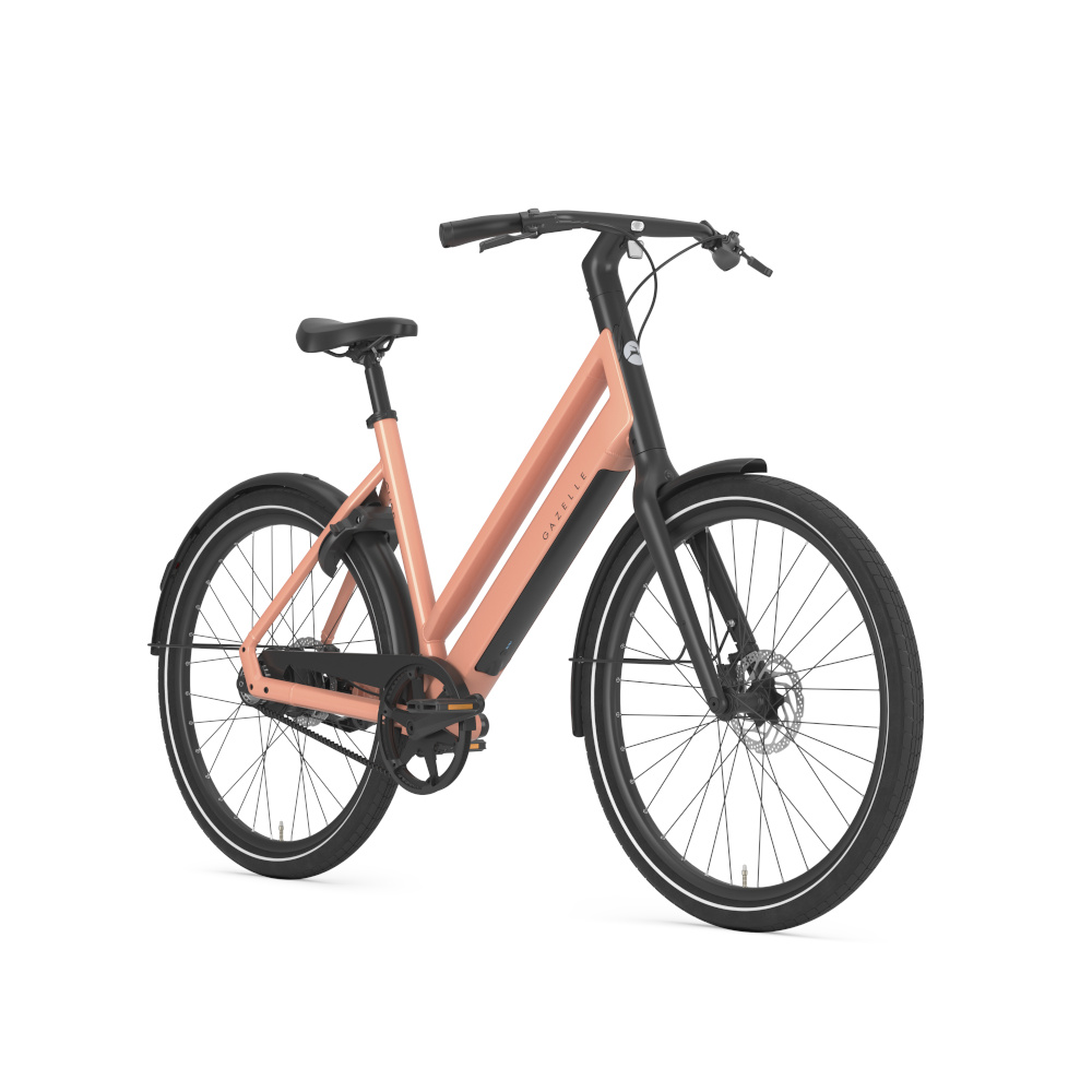 Gazelle Curb C1 - Afbeelding 2