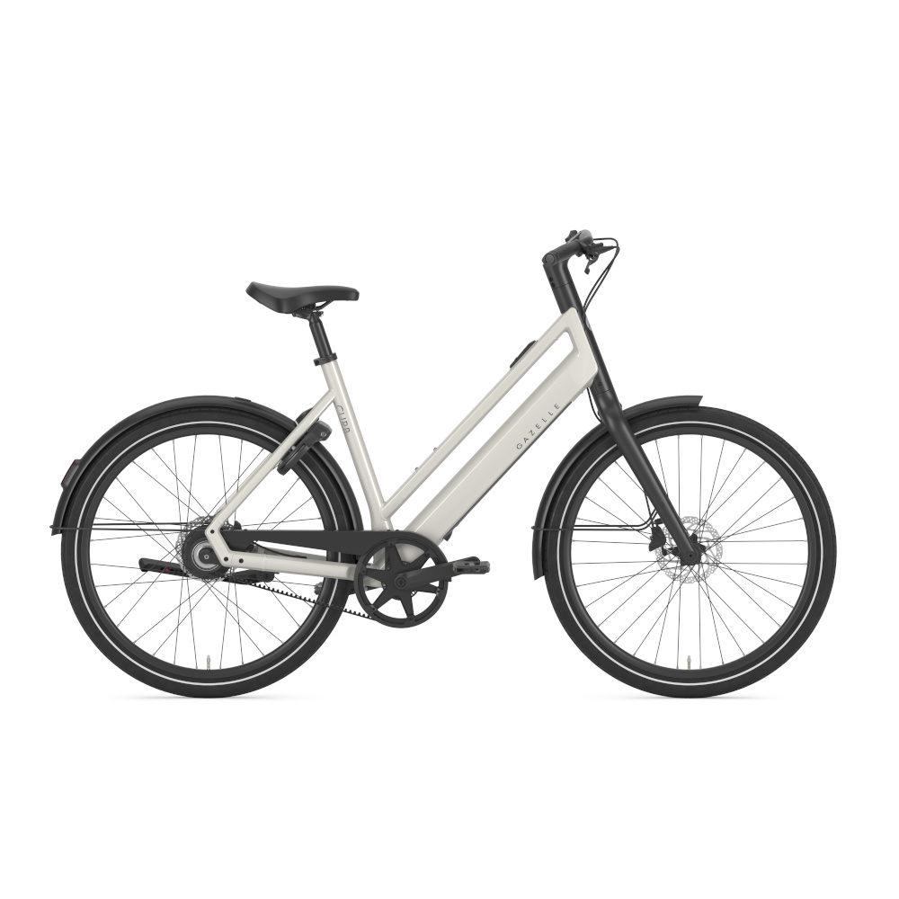 Gazelle Curb C1 - Afbeelding 8