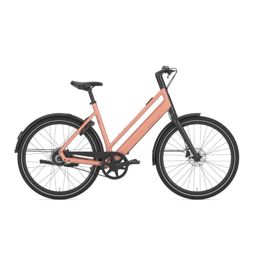 Gazelle Curb C1 - Afbeelding 6