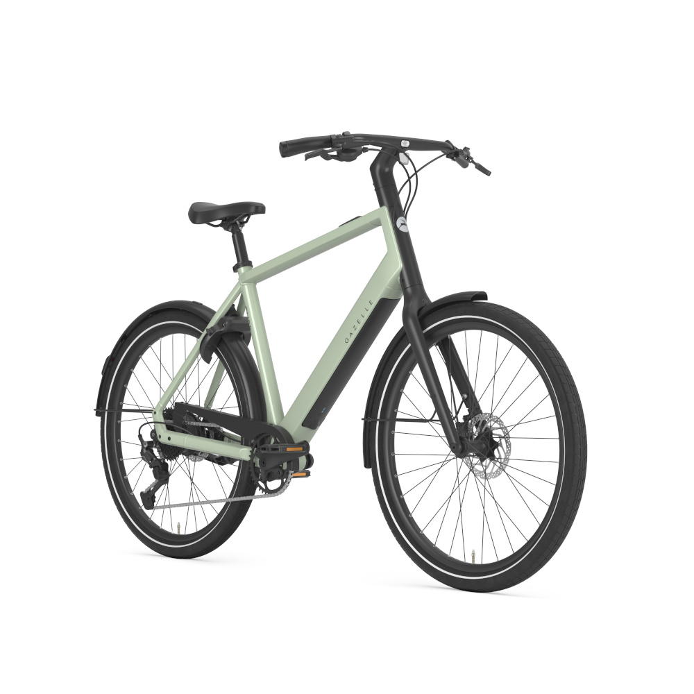 Gazelle Curb T9