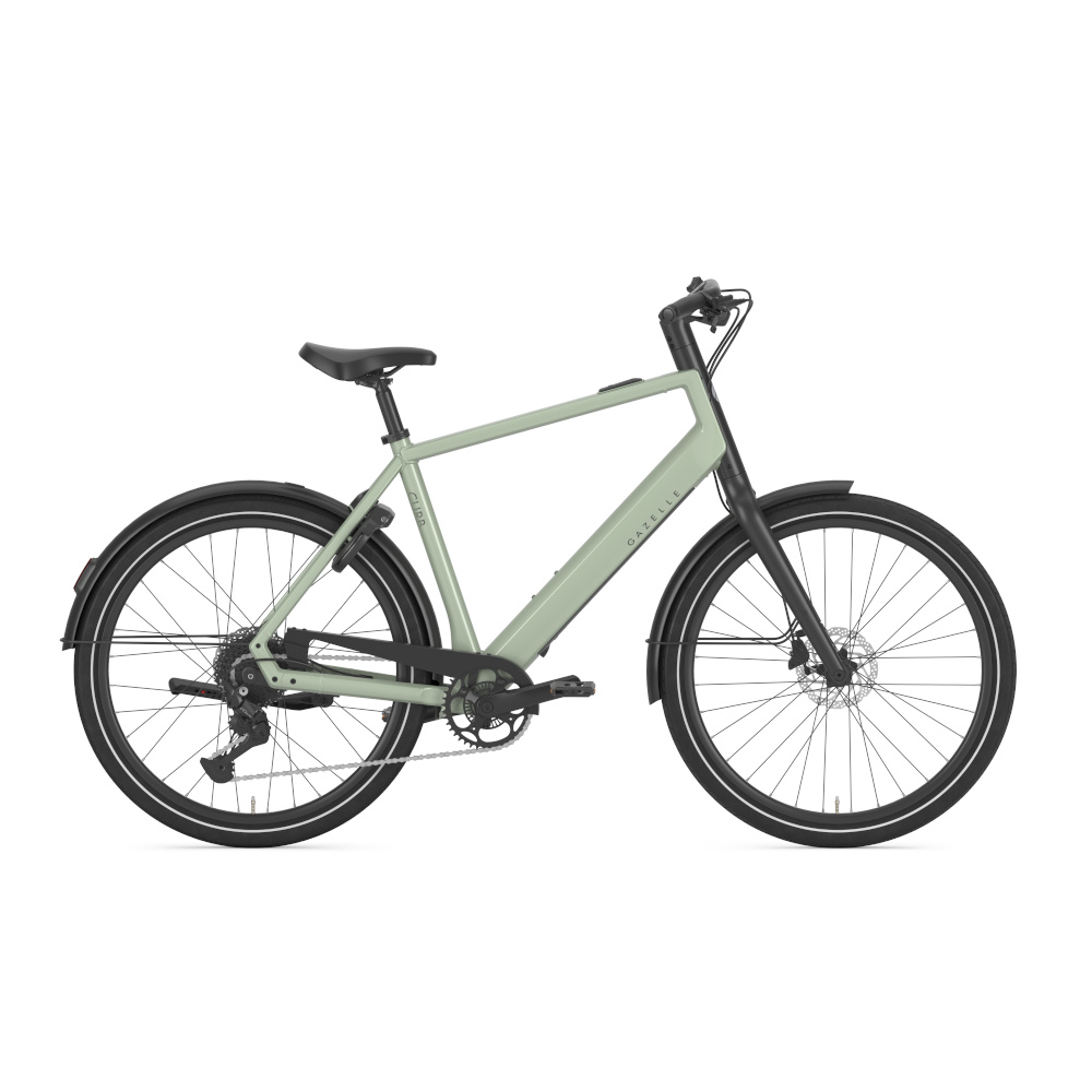 Gazelle Curb T9 - Afbeelding 3