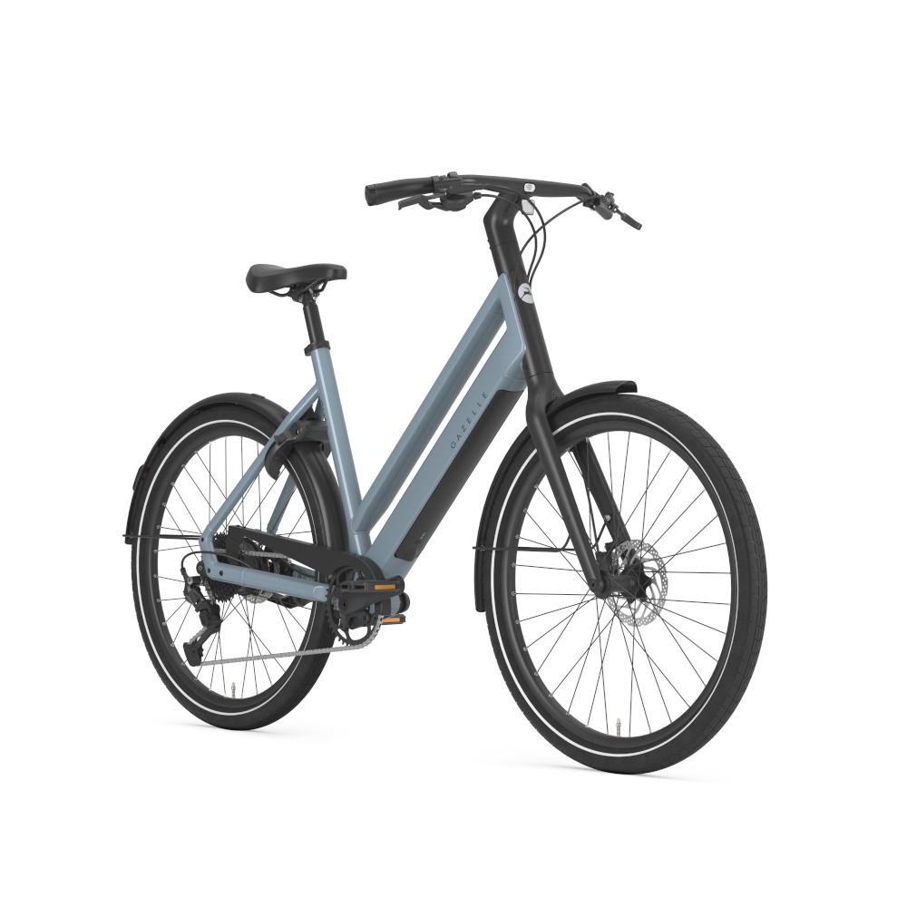 Gazelle Curb T9 - Afbeelding 2
