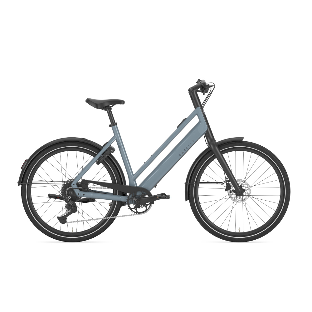 Gazelle Curb T9 - Afbeelding 4